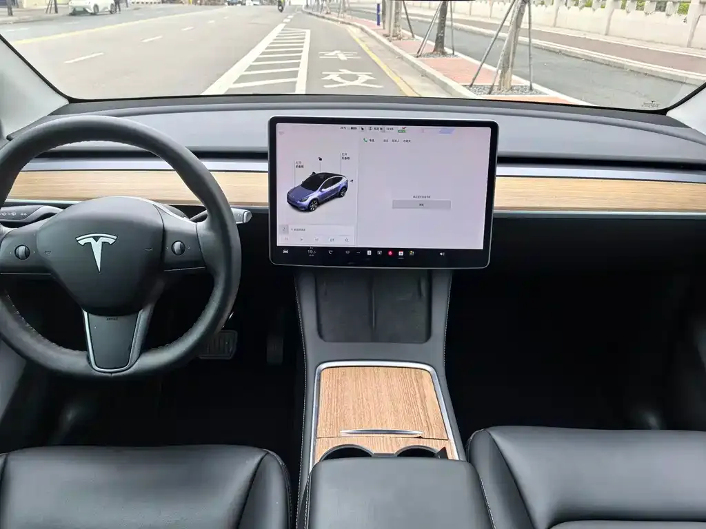 Tesla Model Y 2021 из CN, фото 8