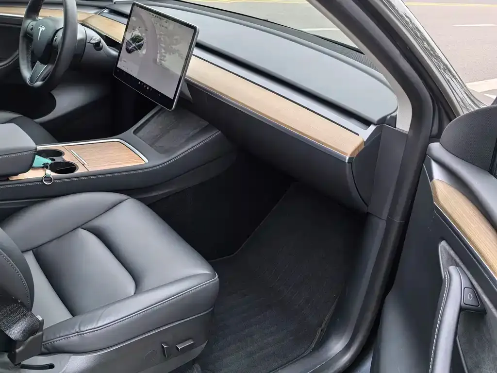 Tesla Model Y 2021 из CN, фото 9