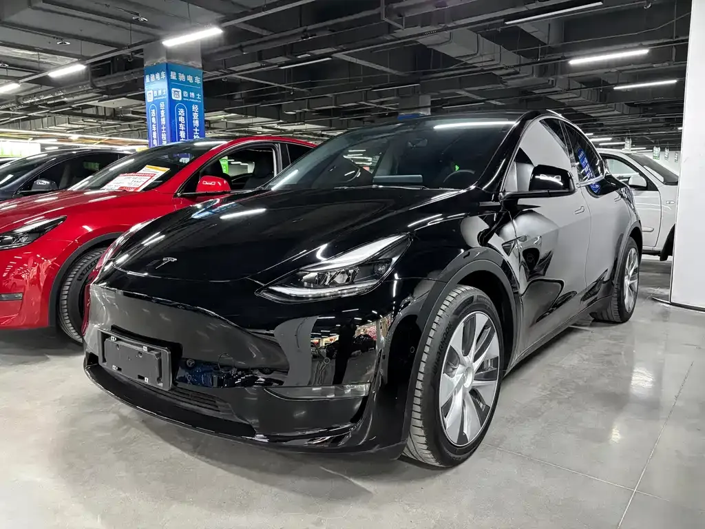Tesla Model Y 2021 из CN, фото 1