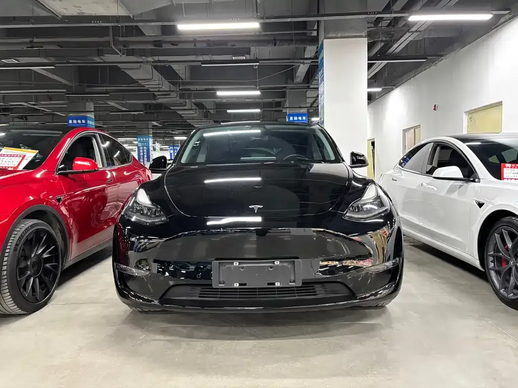 Tesla Model Y 2021 из CN, фото 2