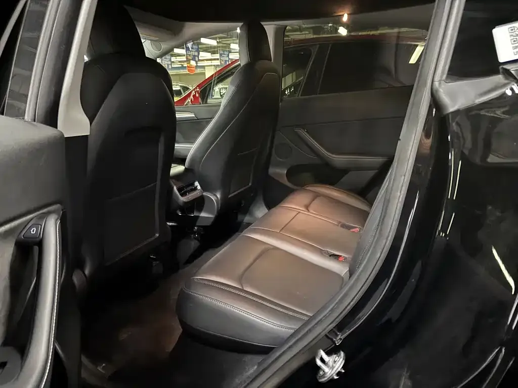 Tesla Model Y 2021 из CN, фото 4