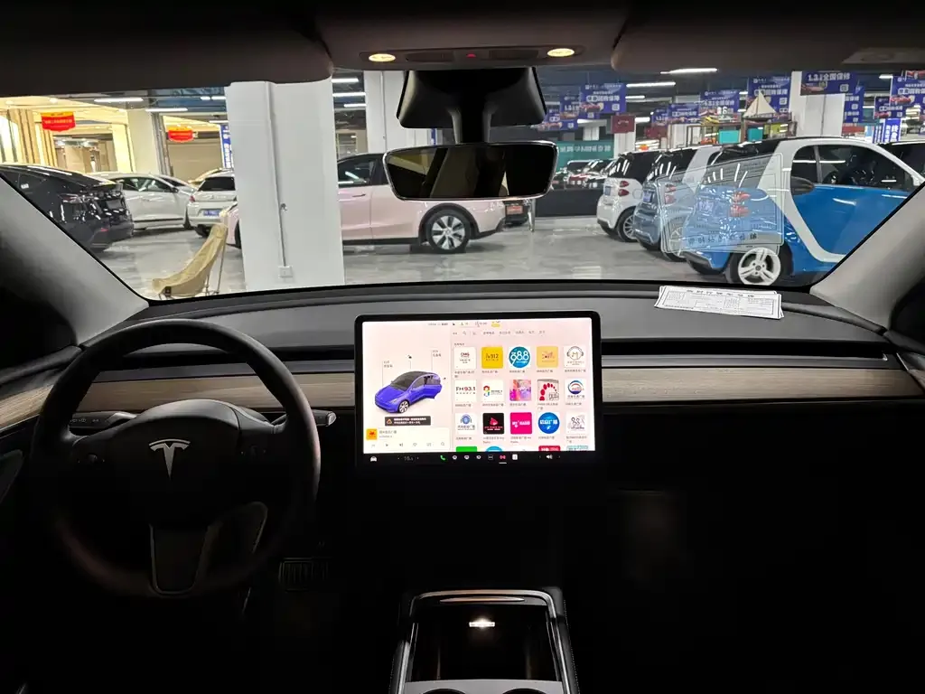 Tesla Model Y 2021 из CN, фото 5