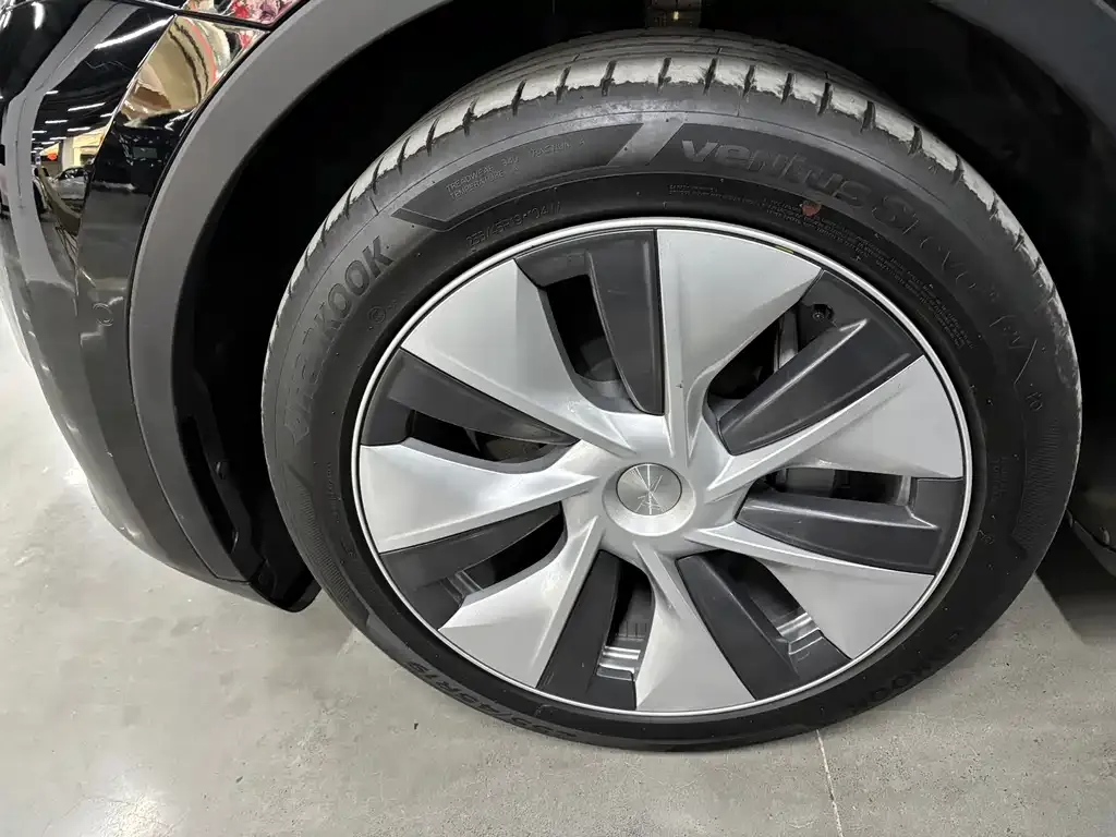 Tesla Model Y 2021 из CN, фото 6