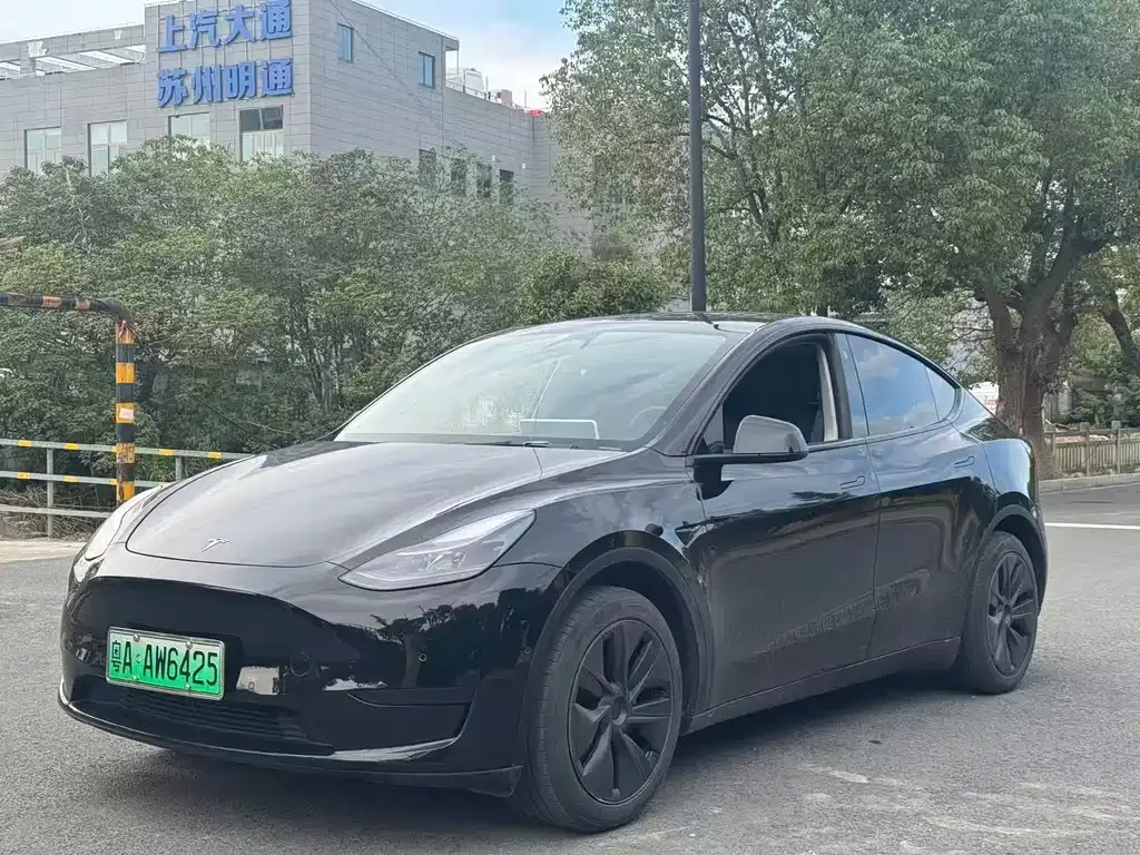 Tesla Model Y — фото 1