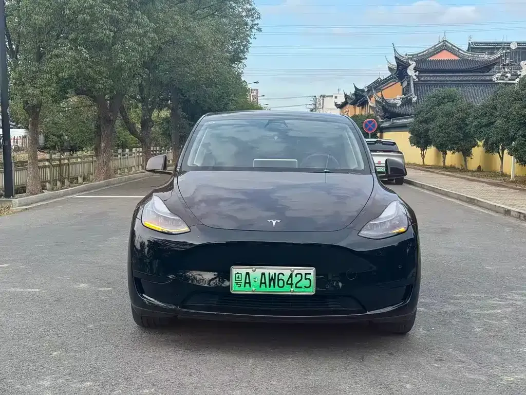 Tesla Model Y — фото 2