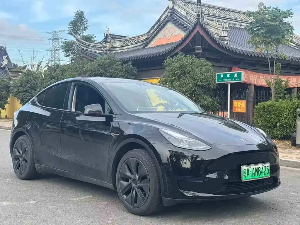 Tesla Model Y — фото 3