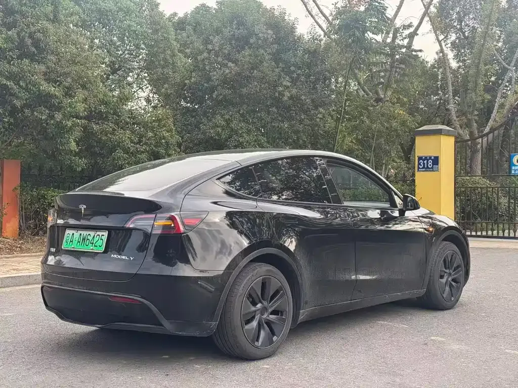 Tesla Model Y — фото 4