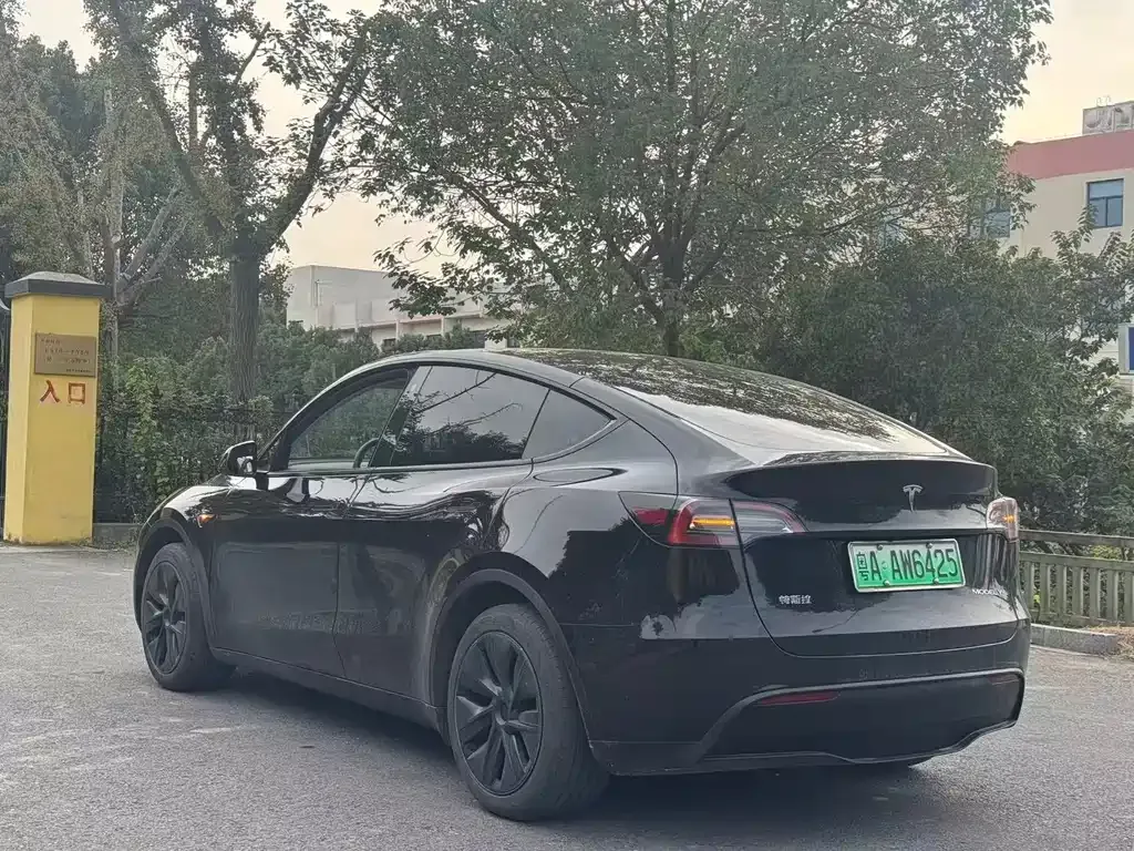 Tesla Model Y — фото 6
