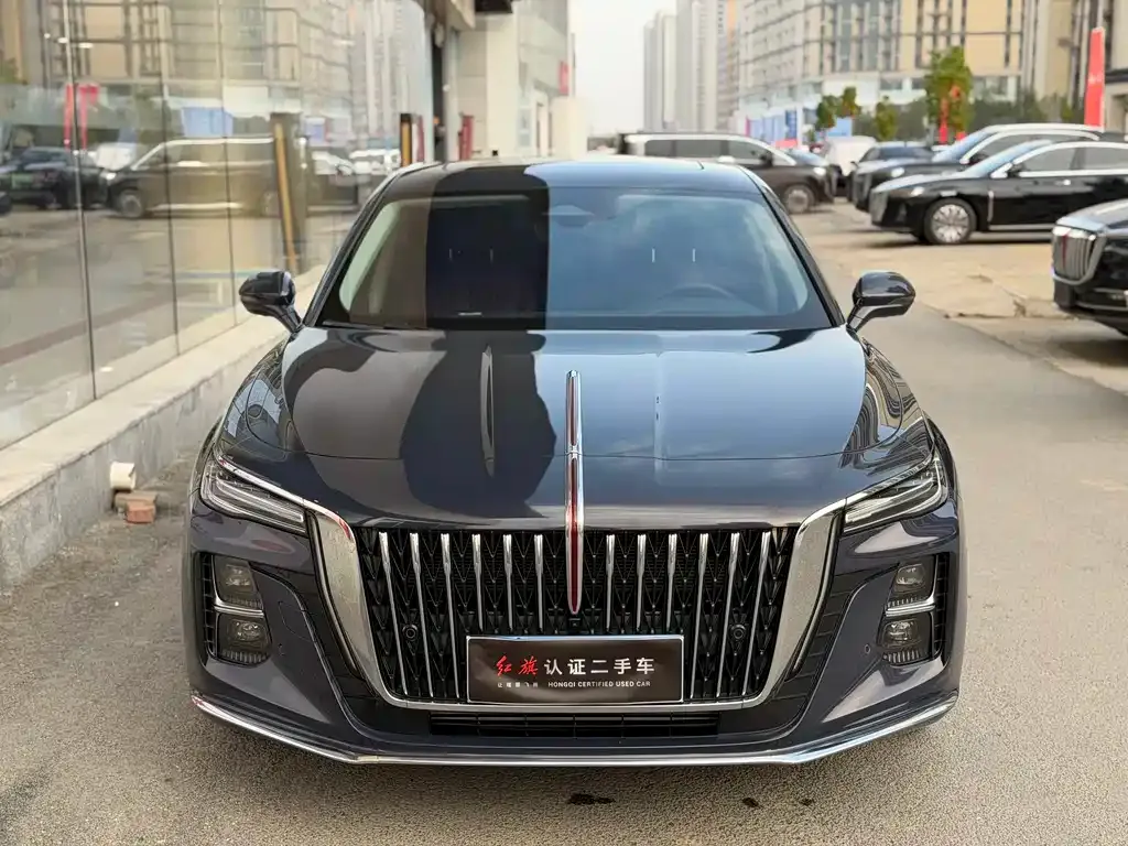 Hongqi H5 2024 из CN, фото 10