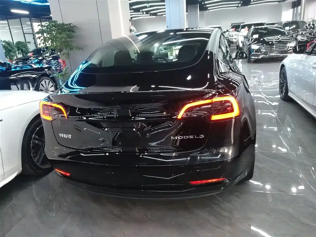 Tesla Model 3 2022 из CN, фото 6