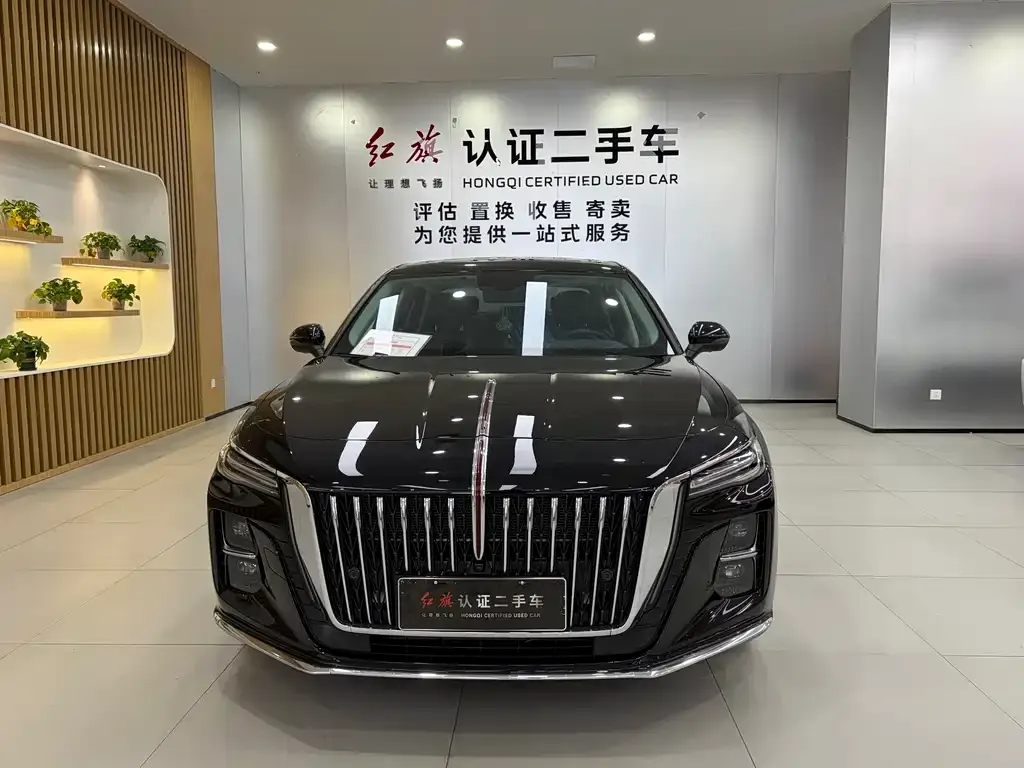 Hongqi H5 2024 из CN, фото 2