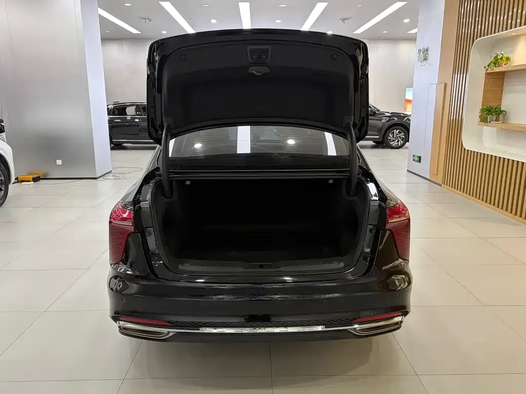 Hongqi H5 2024 из CN, фото 6