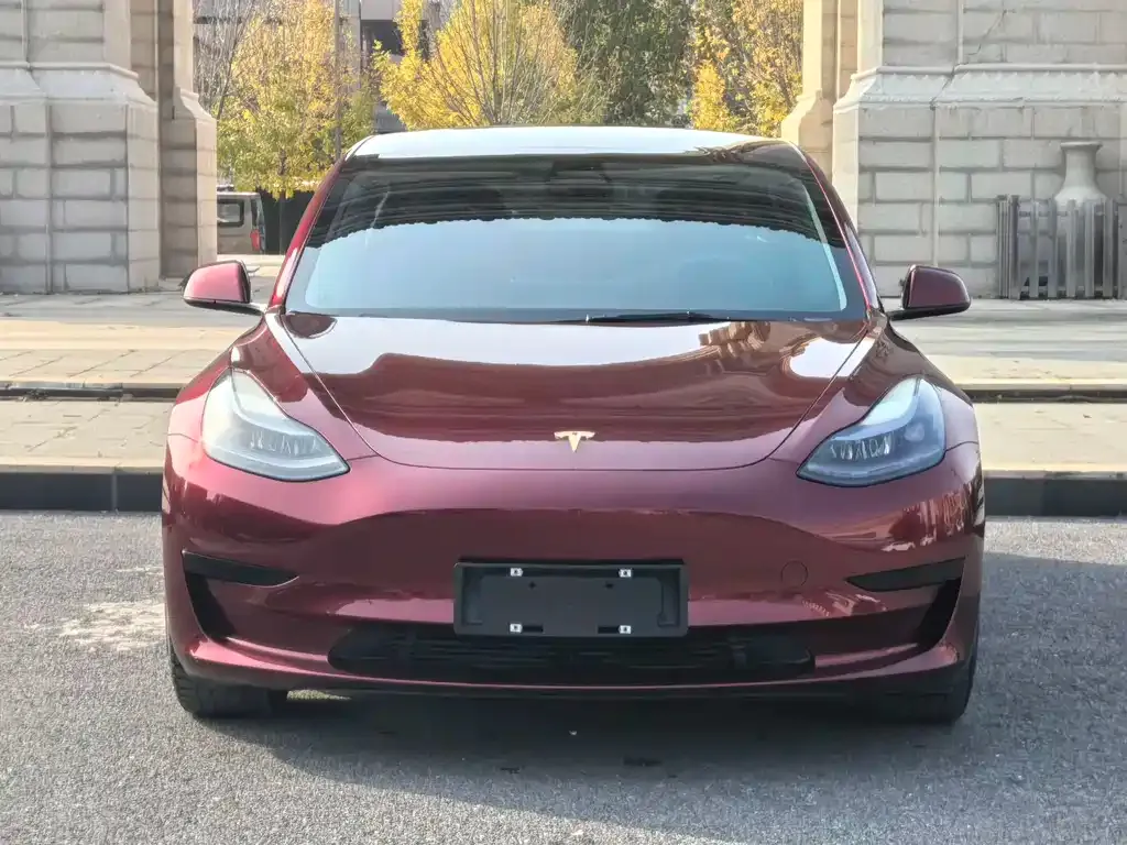 Tesla Model 3 2022 из CN, фото 2