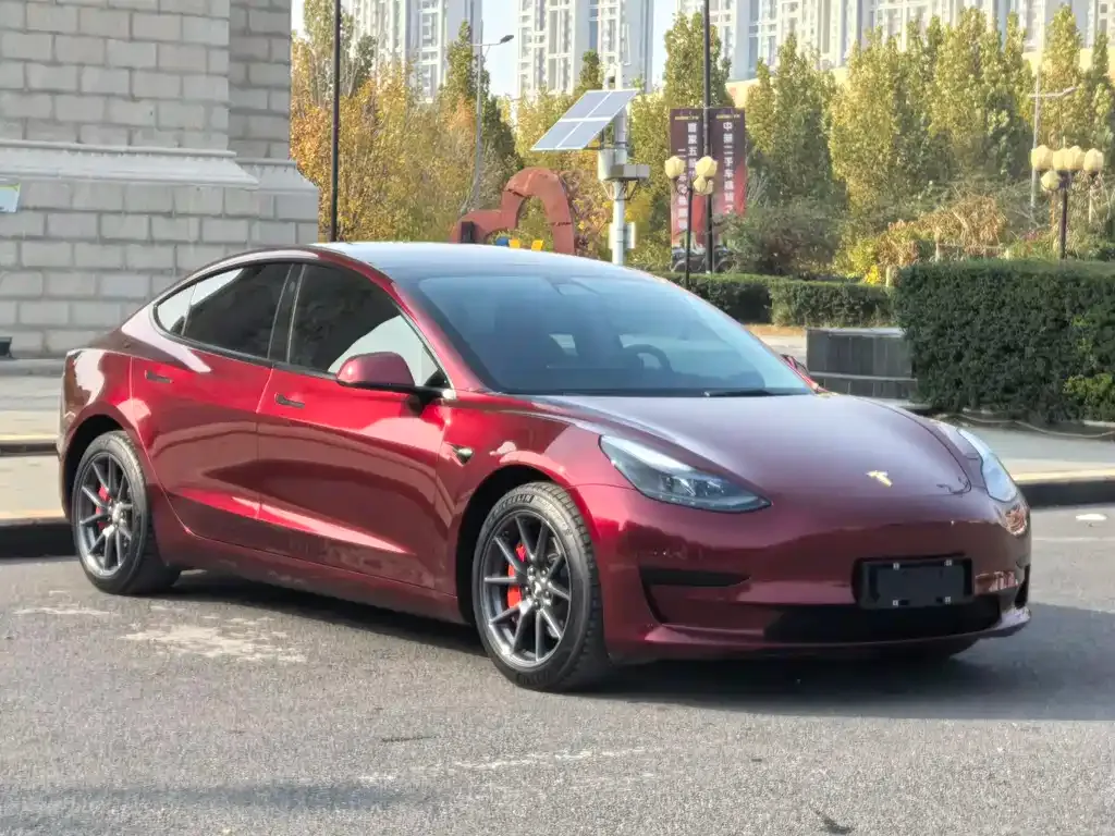 Tesla Model 3 2022 из CN, фото 3