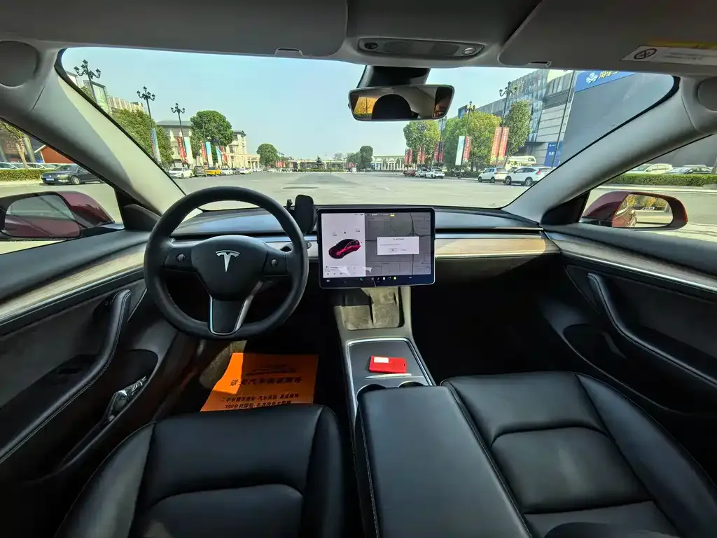 Tesla Model 3 2022 из CN, фото 4