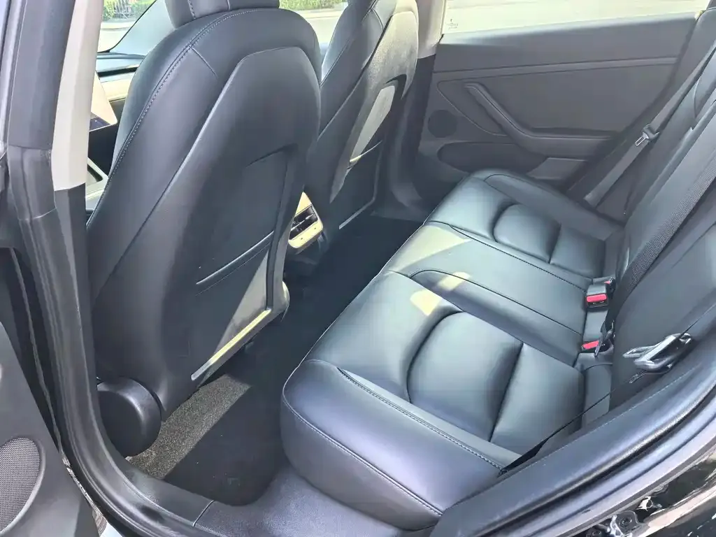 Tesla Model 3 2022 из CN, фото 6
