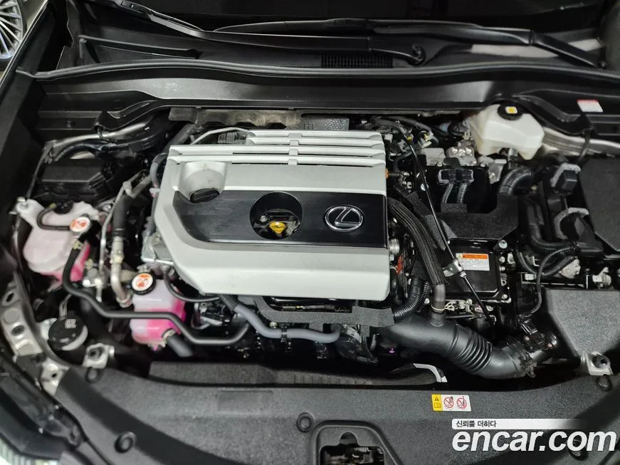 Lexus UX 2024 из KR, фото 6