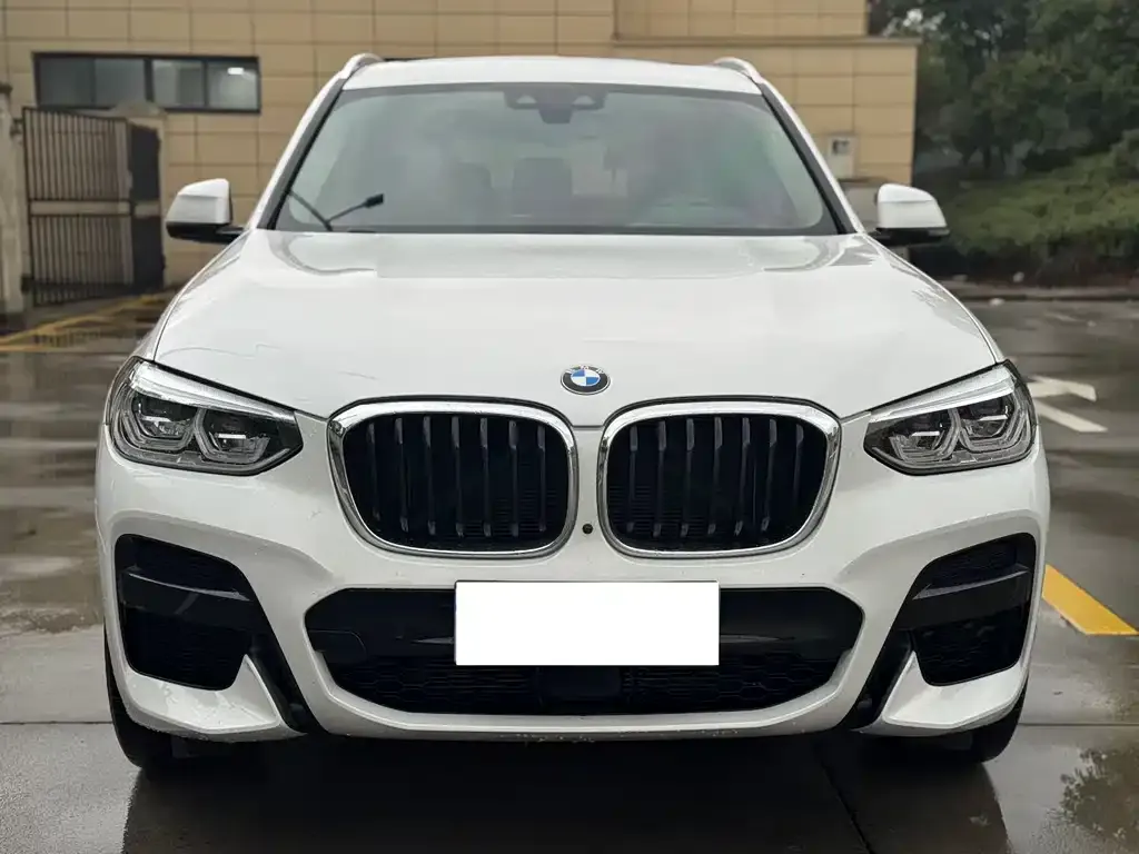 BMW X3 2021 из CN, фото 2