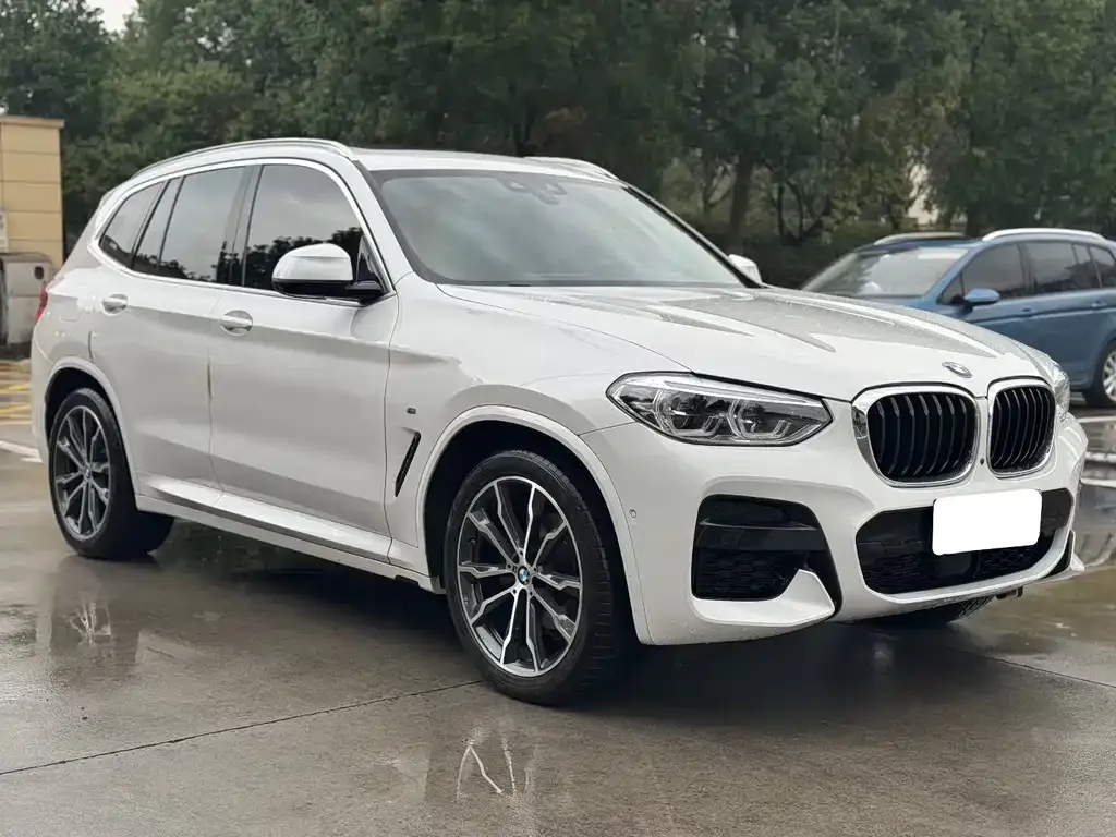 BMW X3 2021 из CN, фото 3