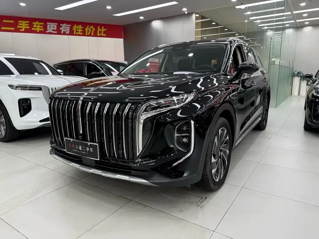 Hongqi HS7 PHEV 2024 из CN, фото 2