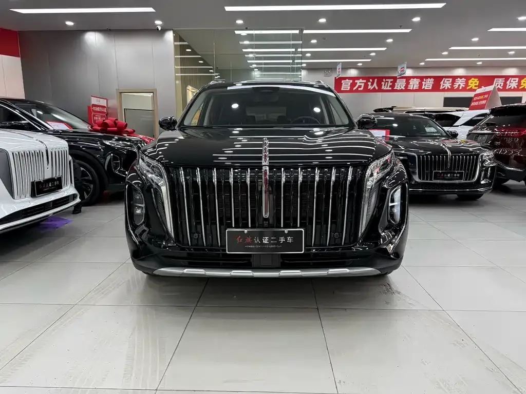 Hongqi HS7 PHEV 2024 из CN, фото 3