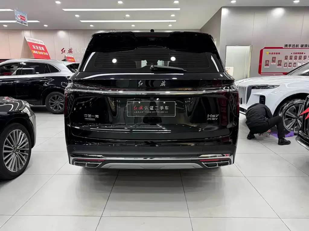 Hongqi HS7 PHEV 2024 из CN, фото 6