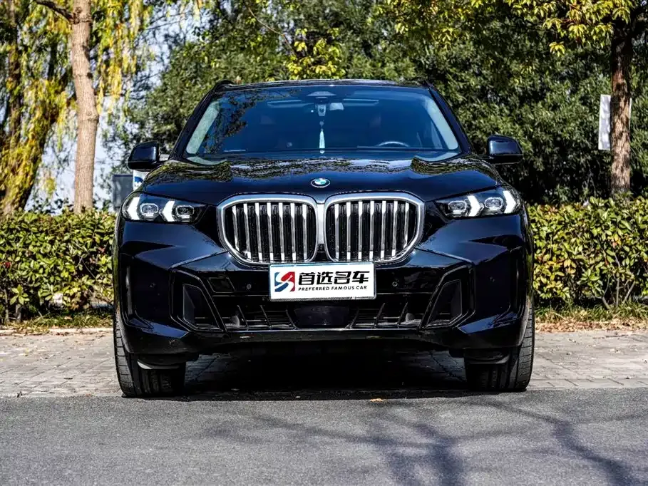 BMW X5 — фото 3