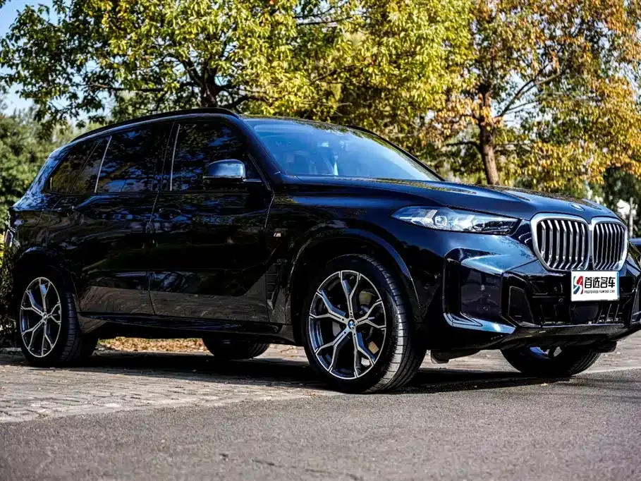 BMW X5 — фото 4