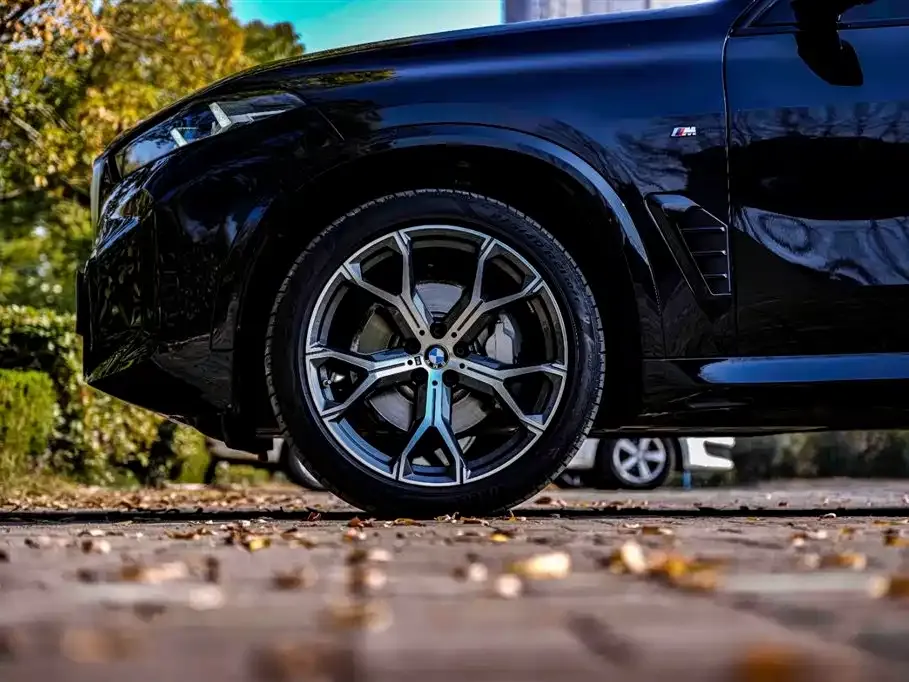 BMW X5 — фото 8