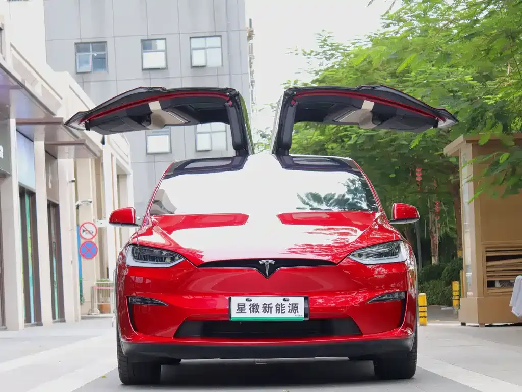 Tesla Model X 2023 из CN, фото 2