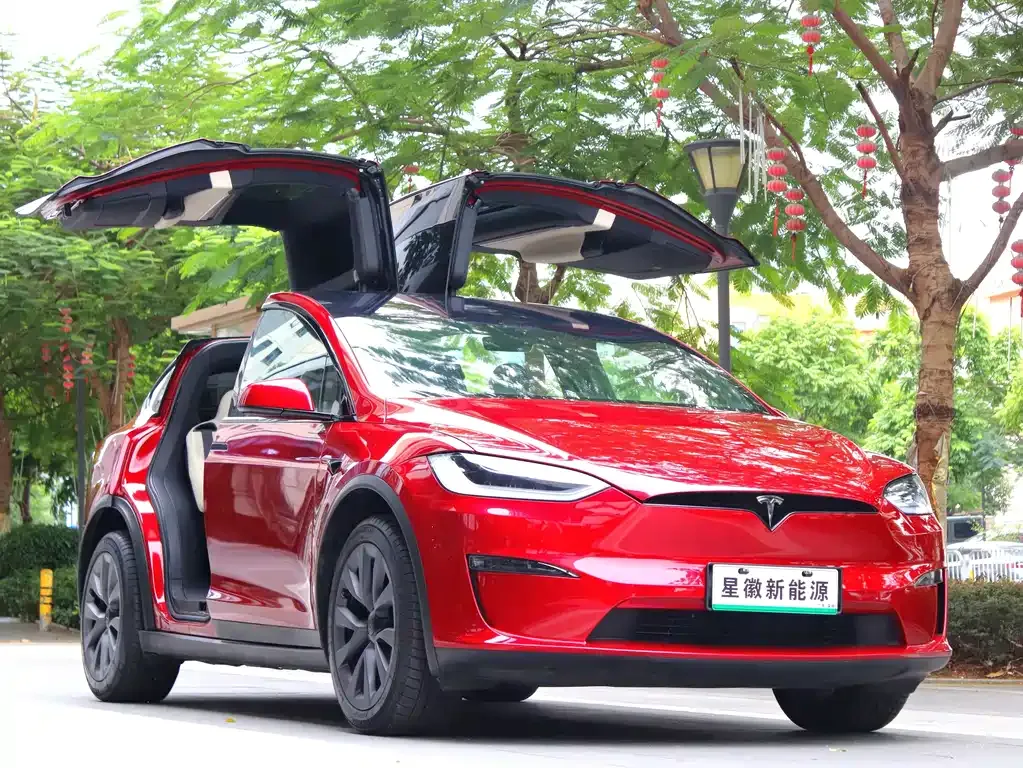 Tesla Model X 2023 из CN, фото 3