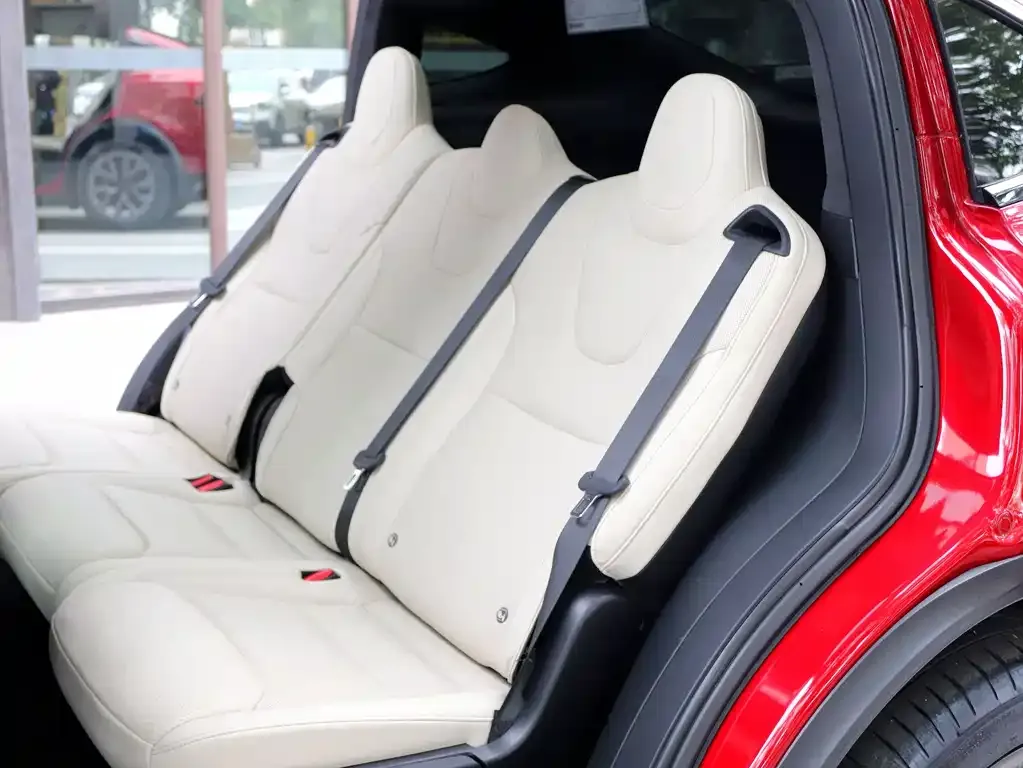 Tesla Model X 2023 из CN, фото 6