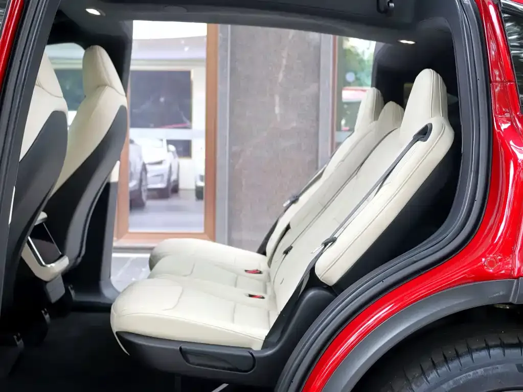 Tesla Model X 2023 из CN, фото 7