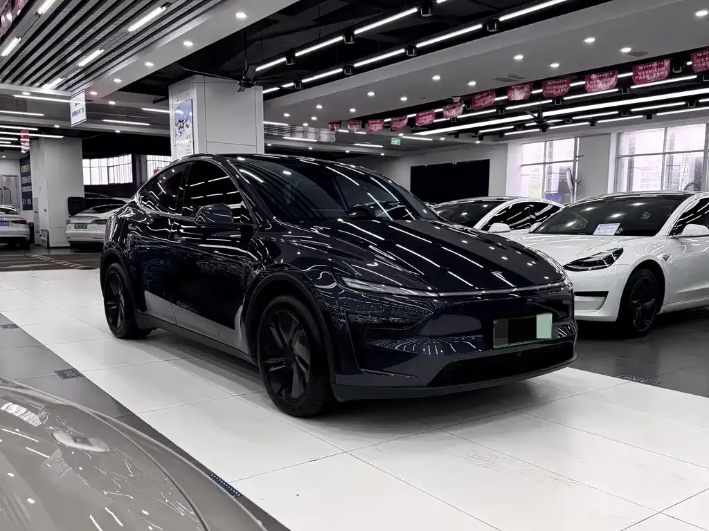 Tesla Model Y — фото 2