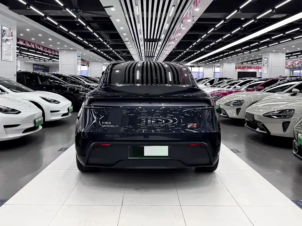 Tesla Model Y — фото 6