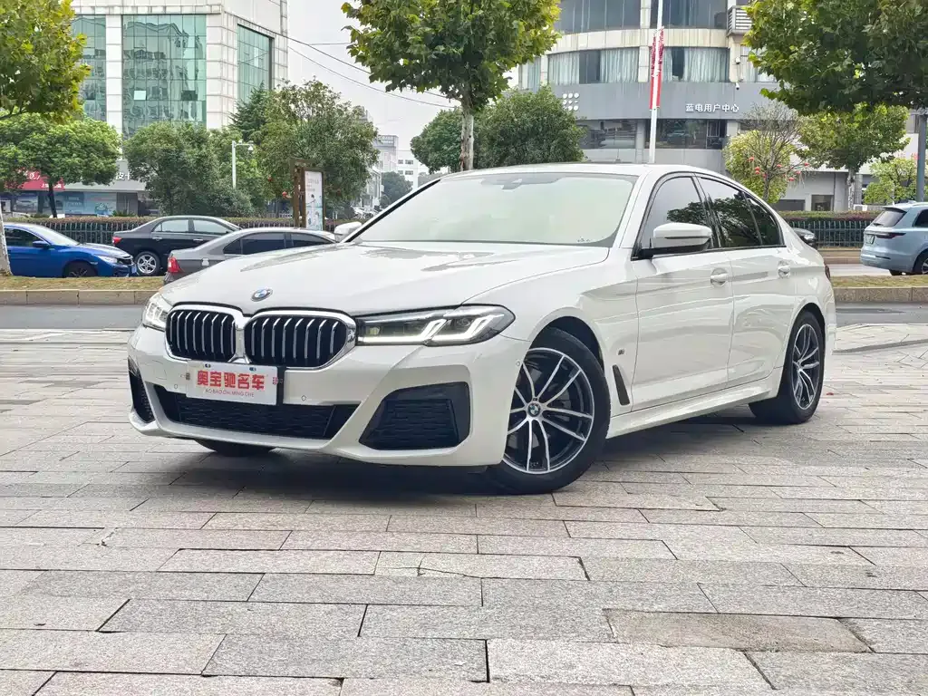 BMW 5 Series (Import) 2021 из CN, фото 1