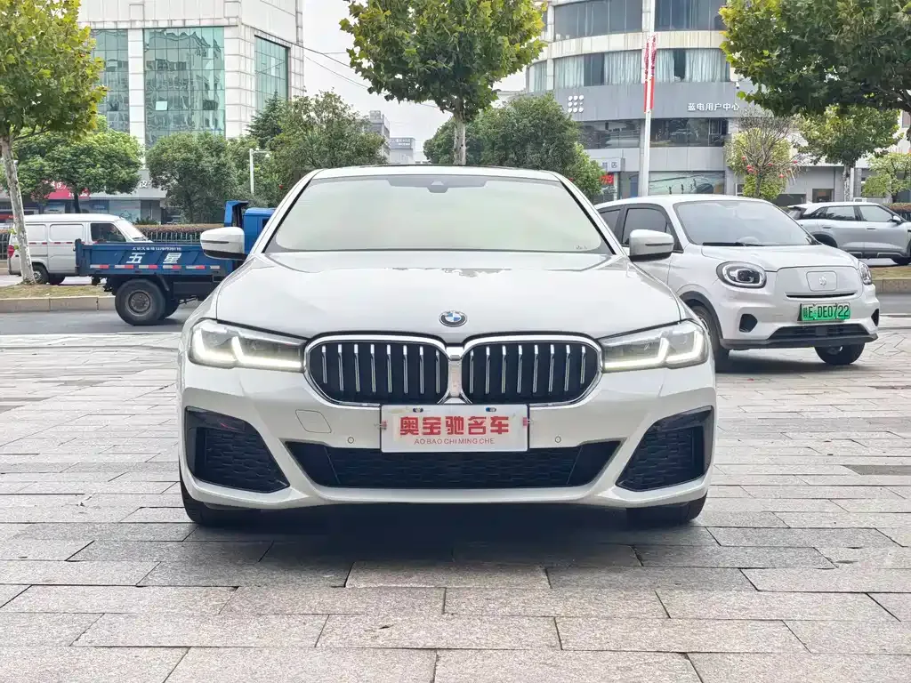 BMW 5 Series (Import) 2021 из CN, фото 2
