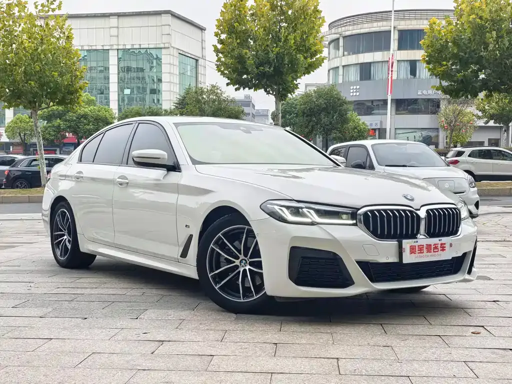BMW 5 Series (Import) 2021 из CN, фото 3