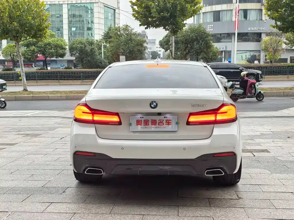 BMW 5 Series (Import) 2021 из CN, фото 5