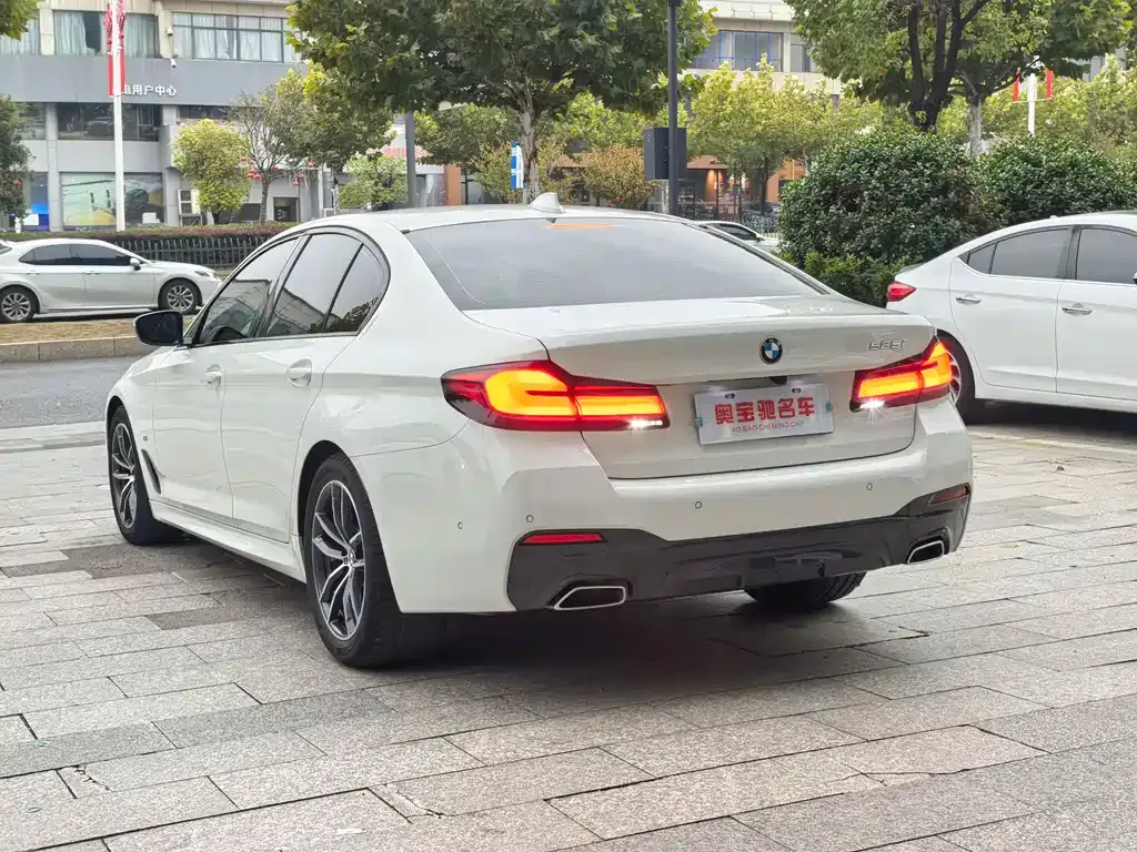 BMW 5 Series (Import) 2021 из CN, фото 6