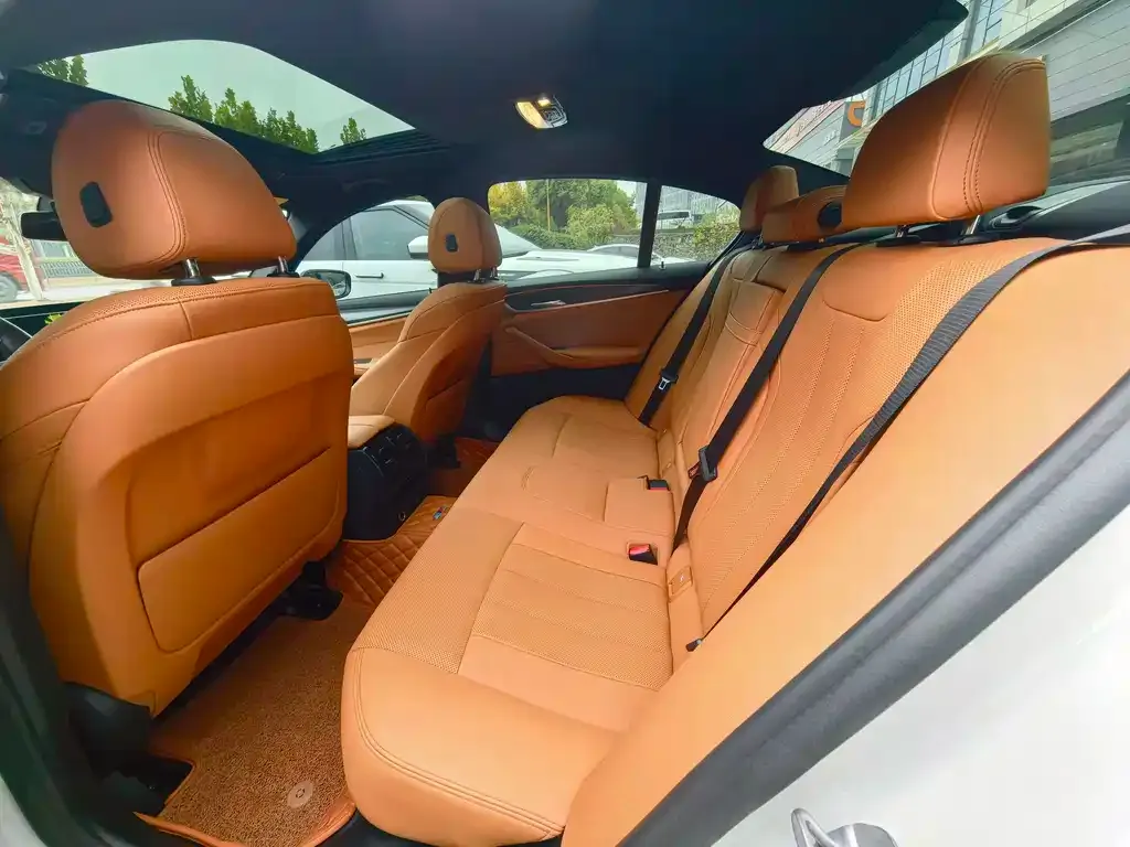 BMW 5 Series (Import) 2021 из CN, фото 9