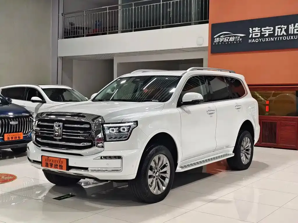 Tank 500 New Energy 2024 из CN, фото 1