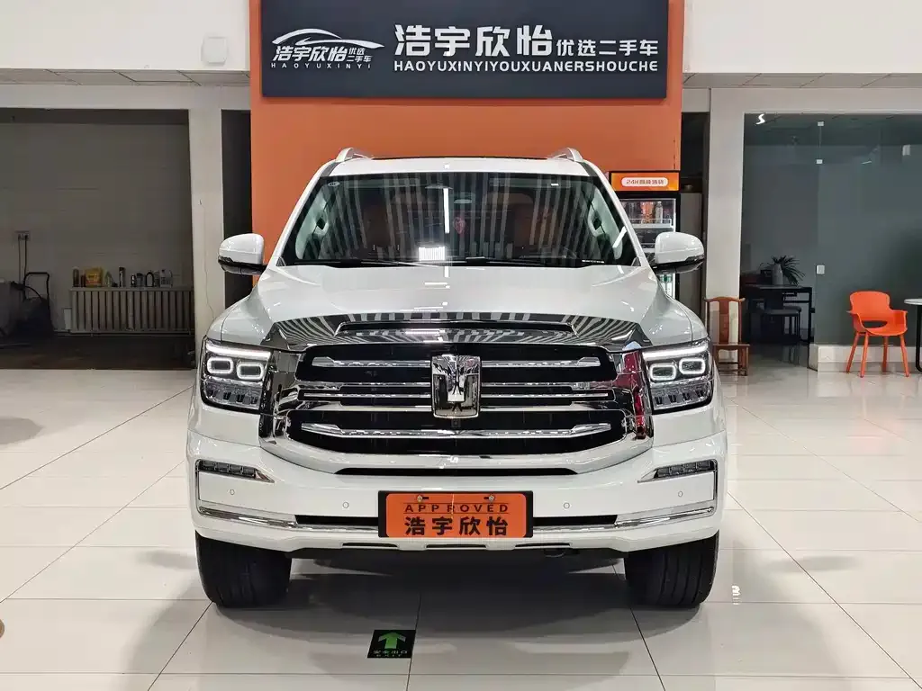 Tank 500 New Energy 2024 из CN, фото 2