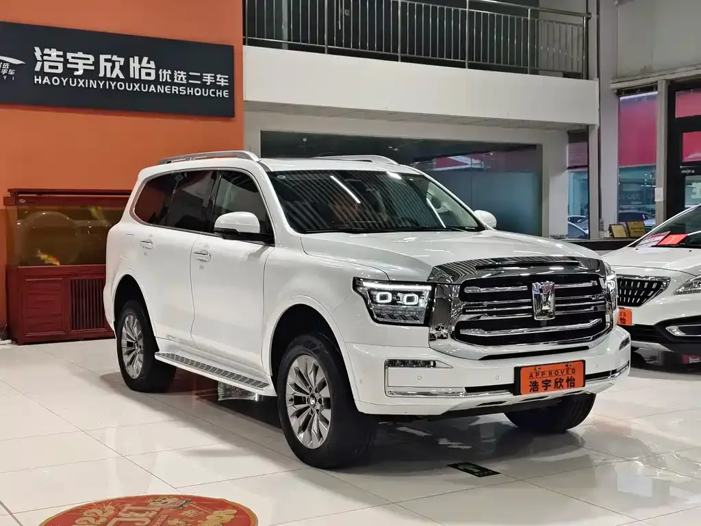 Tank 500 New Energy 2024 из CN, фото 3