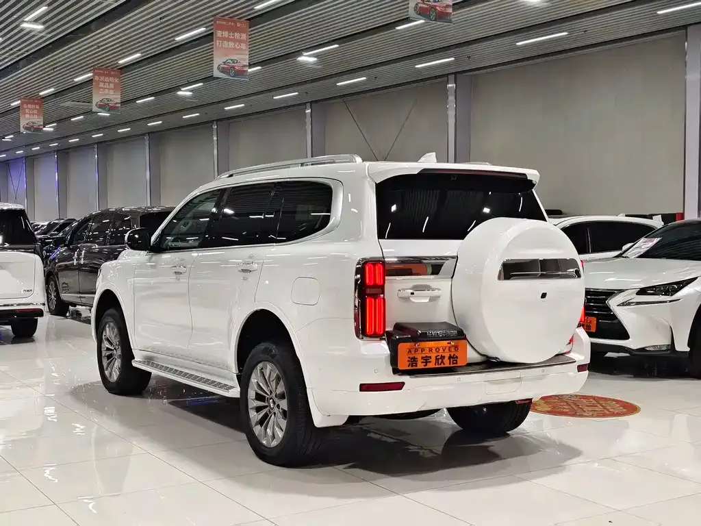 Tank 500 New Energy 2024 из CN, фото 6