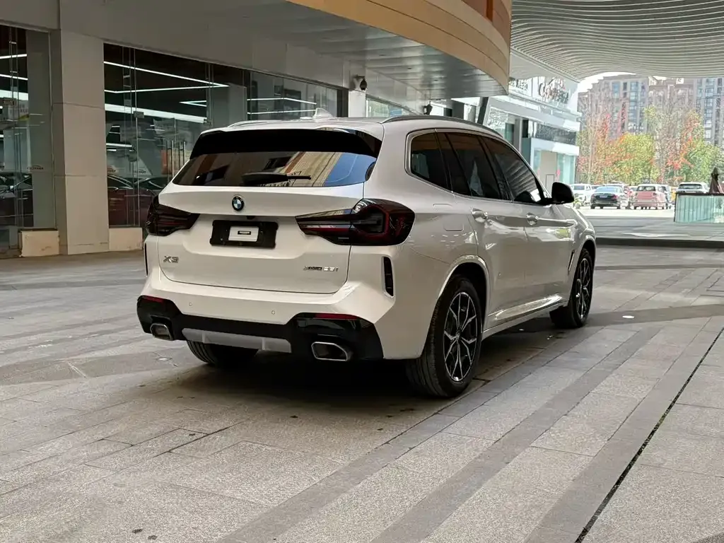 BMW X3 2022 из CN, фото 6