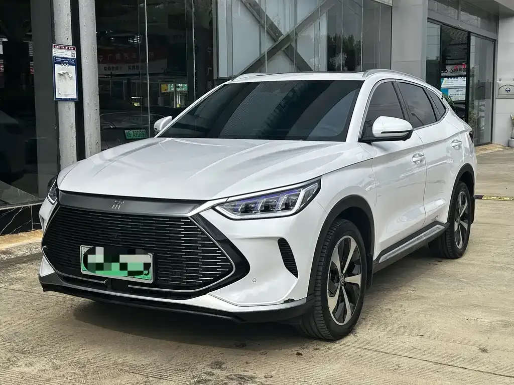 BYD PLUS New Energy 2023 из CN, фото 1