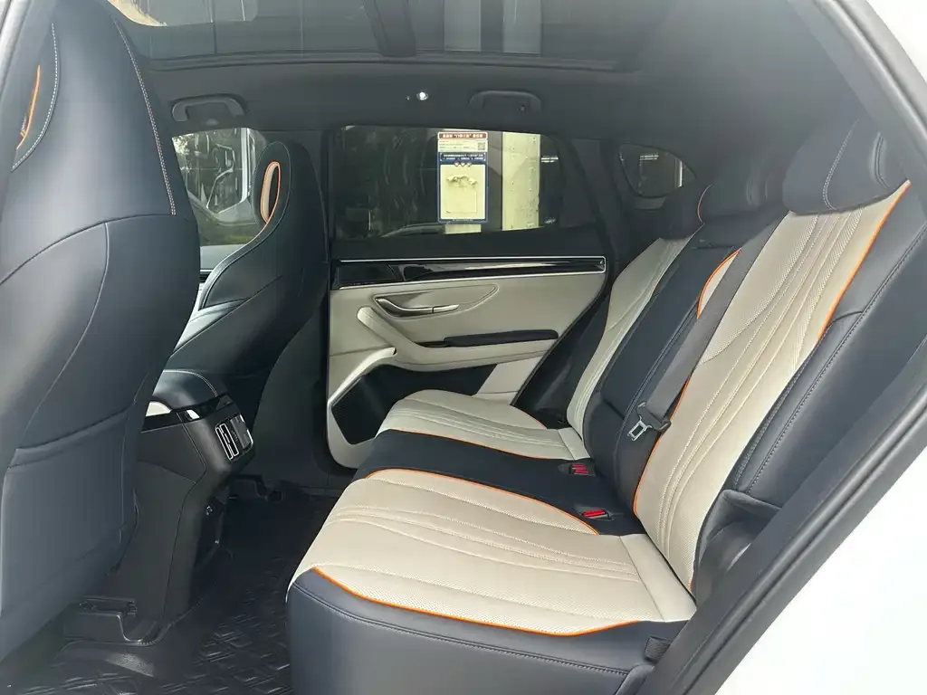 BYD PLUS New Energy 2023 из CN, фото 10