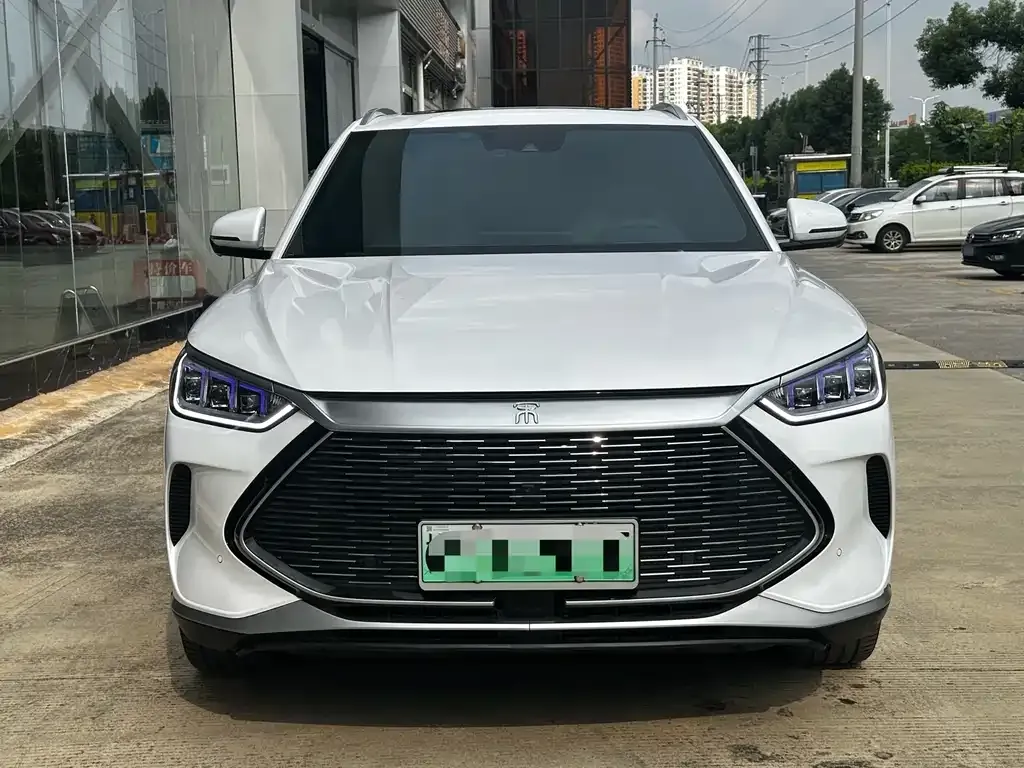 BYD PLUS New Energy 2023 из CN, фото 2