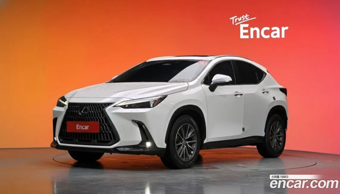 Lexus NX 2024 из KR, фото 1